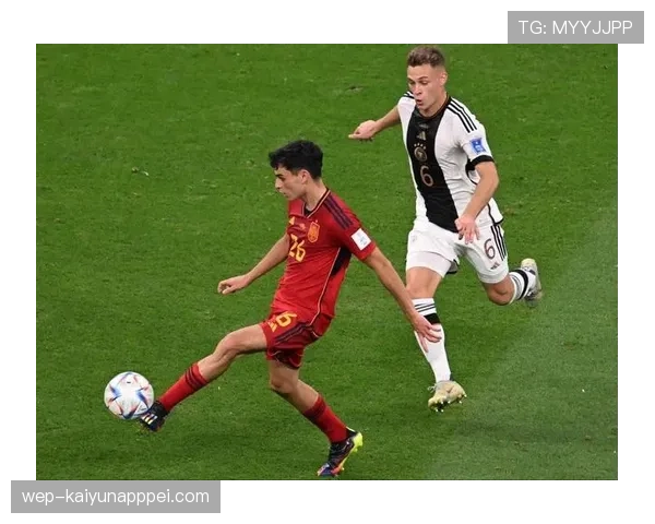 努涅斯与本泽马的终结效率与支点作用差异解析